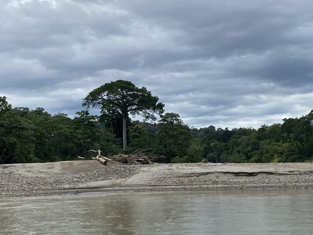 Pueblo Originario Kichwa de Sarayaku